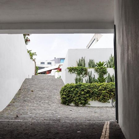 Sao Miguel Charming House By Lfc Apts Ponta Delgada  Ngoại thất bức ảnh